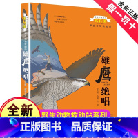 [正版]完整版雄鹰绝唱全本沈石溪的书籍动物小说大王系列小学生四五六年级儿童文学作品珍藏大全全集单本一品藏阅读故事精品