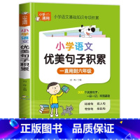 小学语文——优美句子积累 小学通用 [正版]小学语文优美句子积累大全小学生一二年级三年级四五六年级修辞手法摘抄本比喻拟人