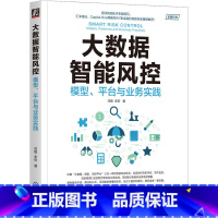 大数据智能风控 模型 平台与业务实践 [正版]大数据智能风控 模型 平台与业务实践 邓甄 李钦 风控 智能风控 大数据风