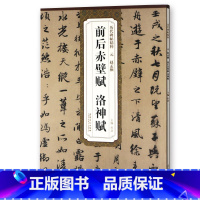 [正版] 元赵孟頫前后赤壁赋洛神赋 历代碑帖精粹 杜浩主编 简体旁注碑帖行书毛笔书法练字帖 安徽美术出版社 书法书籍