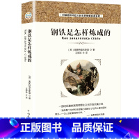 [正版] 钢铁是怎样炼成的初中原著中文无删减钢铁全译本 钢铁是怎么炼成的世界文学名著小说10-15-18岁初高中生课外