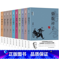 老舍精品作品集(全10册) [正版]老舍经典作品全集10册 骆驼祥子茶馆牛天赐传济南的冬天正红旗下我这一辈子猫城记二马四