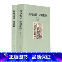 [正版]荷马史诗 奥德赛/伊利亚特 全2册 全译本 无删减(荷马史诗(共2册全译本)/世界文学名著 世界名著书籍 荷马