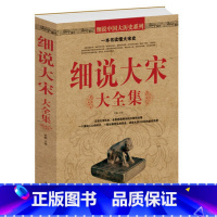 [正版] 细说大宋大全集 北宋和南宋文学文化典藏 历史知识解读认识书籍宋朝那些事儿 中国历史读物宋朝史 课外书籍 中国