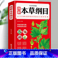 [正版]全新 白话彩图典藏版本草纲目李时珍原著全套白话版药草书彩图版中医养生入门大全黄帝内经中药材中草药图解中医大全书