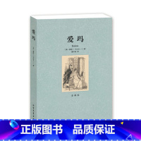 [正版]4本36元爱玛 全译本 无删节 (爱玛书 傲慢与偏见 作者简·奥斯丁作品小说 世界名著 爱玛(全译本)/世界