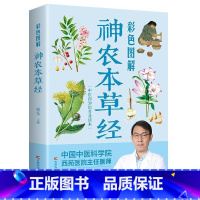 [正版]彩色图解神农本草经 原著原文译文注释 中医中草药名著古籍本草纲目李时珍中医养生书籍大全 中草药书中医入门医学书