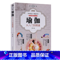 [正版]厚402页 图解瑜伽:从入门到精通 减肥瘦身塑形美颜养生瑜伽初级入门零基础教程大全图解 女性瑜伽美容瘦身有氧健