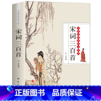 [正版]图书 宋词三百首赏析全解原文译文注释中国古诗词大全集点评唐诗元曲纳兰词论语诗经楚辞鉴赏辞典小学生初中青少年书籍