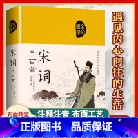 [正版]彩图宋词三百首全集 鉴赏辞典经典宋词选全宋词原文译文注释全解成人版初高中小学生课外阅读元曲宋词300首上海古籍