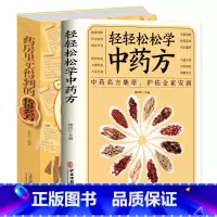 [正版]轻轻松松学中药方+药房里买得到的传世名方 中医理论中药名方集萃基础知识中医药方处方入门书中医学理论知识中医古籍