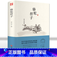 [正版]精装硬皮骆驼祥子 老舍集 阅读经典系列 世界文学名著 青少年初高中生课外书青少年课外读物 名著书籍老舍骆驼祥子