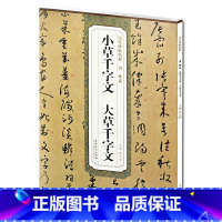 [正版] 唐怀素小草千字文大草千字文 历代碑帖精粹 薛元明主编 第二辑简体旁注碑帖草书毛笔书法字帖 安徽美术出版社 古