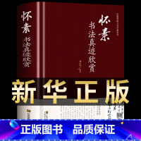 [正版]怀素书法真迹欣赏 草书大字典常用字字汇中国传统文化经典荟萃草书临摹 大小草千字文书法全集历代名家书法真迹欣赏