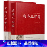 唐诗宋词三百首 [正版]2册 唐诗三百首+宋词三百首大全集 国学典藏原文译文注解赏析唐词宋词三百首大全 唐诗宋词元曲鉴赏