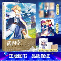 [正版] 特典版首刷磨砂PVC卡+明信片X6+彩绘自封袋重返阿瓦隆 武内崇Fate画集 Fate小说人物设定原画美术插
