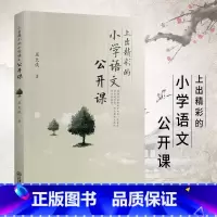 [正版]上出精彩的小学语文公开课 语文课这样上语文课就该这样教小学语文知识大全课程设计教师用书教编用书追求理解的教学设