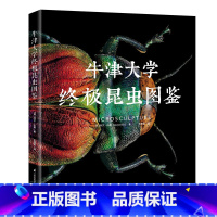 [正版]牛津大学昆虫图鉴(精) 中小学生自然科学生物科普读物百科全书显微镜摄影昆虫标本照片科普儿童动物书探索自然 江苏