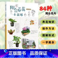 [正版]阳台养花一本就够 刘海涛 家庭阳台种植花草盆栽多肉植物新手四季养花一本J够从新手到高手不败指南百科书籍 福建科
