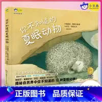 你不知道的夏眠动物 [正版]动物科普启蒙绘本你不知道的夏眠动物梅丽莎·斯图尔特羽毛不只是为了飞行作者大百科幼儿生物儿童读