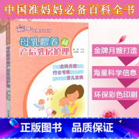 [正版]母乳喂养和产后乳房护理 阳光大姐育儿丛书 怀孕孕产育儿实践调养 月嫂讲述育儿百科指导指南 孕产妇书籍 山东教
