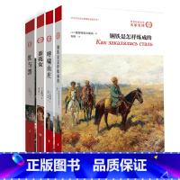 [正版]世界文学名著小说书 高初中生课外文学书 12-18岁青少年读物 钢铁是怎样炼成的 茶花女 红与黑 呼啸山庄