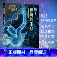 [正版] 窥见未来系列 哇!神奇的生命 6-8-10岁儿童启蒙科学绘本百科全书 少儿科普科技百科全书儿童想像力启发益智