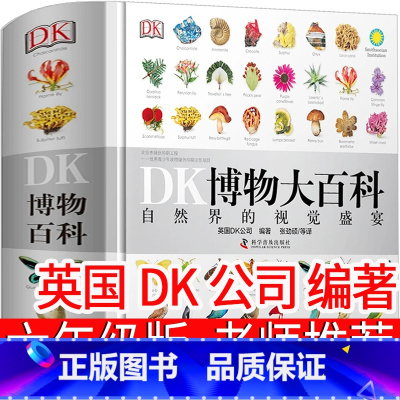 科普类:DK博物大百科英国DK公司 [正版]汉字奇兵 张之路新蕾出版社六年级下册必读课外书五年级6年级上册小学生课外阅读