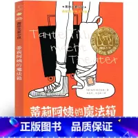 蒂莉阿姨的魔法箱 [正版]蒂莉阿姨的魔法箱书彼得赫尔德林新蕾出版社二年级三年级三年级五年级小学生必读课外书儿童读物阅读国