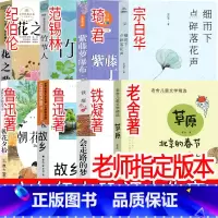 六年级上册必读 课内作家 [正版]六年级上册花之歌草原北京的春节紫藤萝瀑布丁香结细雨下点碎落花声竹节人会走路的梦故乡朝花