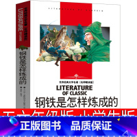 [正版]钢铁是怎样炼成的小学生六年级五年级课外书初中原著完整版八年级初中生下册原版人民教育书籍刚铁是怎么炼成的文学出版