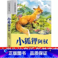 小狐狸阿权 [正版]小狐狸阿权注音版 小狐狸阿全新美南吉三年级四年级书 小孤狸阿权 小学生课外阅读书籍儿童读物7-8-1