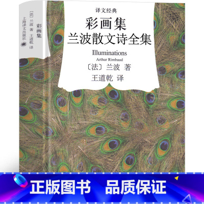 [正版]兰波彩彩画集 兰波散文诗全集作品诗集 地狱一季 兰波作品集 兰波诗歌 阿尔蒂尔·兰波 集上海译文出版社 象征主