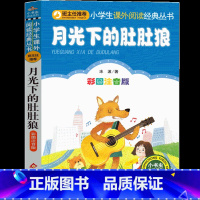 月光下的肚肚狼 [正版]月光下的肚肚狼注音版冰波著小学生三年级二年级一年级故事书必读课外书 月亮下的肚肚狼 新蕾绘本全套