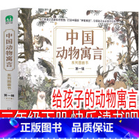 给孩子的动物寓言 三年级版 [正版]彩色版吹牛大王历险记 [德]埃·拉斯伯、戈·毕尔格著三年级下册必读课外书书完整版小学