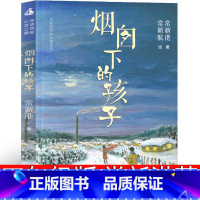烟囱下的孩子 [正版]烟囱下的孩子书四年级图书中文版常新港原创三年级无你那叫课外书儿童读物6-7-8-10-12岁童话绘