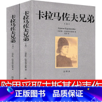 卡拉马佐夫兄弟 [正版]卡拉马佐夫兄弟 88.7万字 陀思妥耶夫斯基原著长篇小说无删减世界名著全套上下册人民的文学书籍初