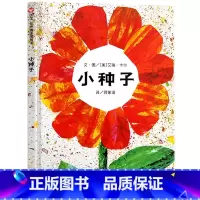 小种子 [正版]小种子 绘本明天出版社一年级二年级课外书老师阅读书籍信宜系列经典儿童幼儿园故事书3-4-5-6-7-8-