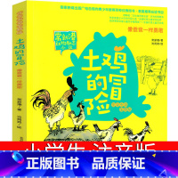 [正版]土鸡的冒险注音版 像爸爸一样勇敢春风文艺出版社常新港著沈苑苑绘一年级二年级三年级必读课外书阅读书籍儿童读物6-