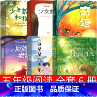 五年级课外书全6册 [正版]追星星的少年 杨娟著江苏凤凰少年儿童出版社 五年级课外书必读指间阳光 奇迹 少年戴维和猫 尼