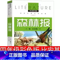 森林报 [正版]森林报四年级版苏维比安基春夏秋冬彩色版下册小学生必读大全集三年级课外书阅读图书二十一儿童读物世纪作品非注