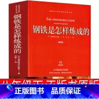 [正版]钢铁是怎样炼成的初中原版原著八年级初中生下册原版完整版导读版人民教育书籍刚铁是怎么炼成的文学小说山东画报出版社