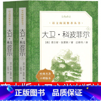 大卫科波菲尔 人民文学出版社 [正版]高中版 大卫科波菲尔 宋兆霖译狄更斯原著原版全译本无删减人民必读课外阅读书籍适合高