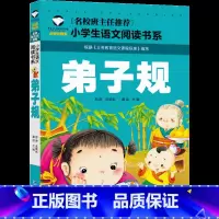 弟子规 [正版]弟子规书注音版小学生完整版国学一年级二年级儿童绘本幼儿全套带拼音故事彩图少儿读物6-7-8-10岁童书版