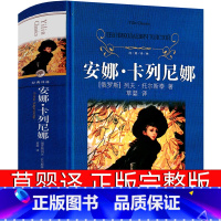 [正版]译林出版社安娜卡列尼娜书草婴译完整版 上下 原著托尔斯泰世界名著书籍无删减安娜卡列宁娜 安娜·卡列宁娜 卡列琳