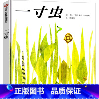 一寸虫 [正版]一寸虫绘本 李奥尼著小学生一年级二年级三年级必读图画书凯迪克奖精装儿童书籍启蒙认知故事书籍精装明天出版社