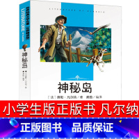 [正版]神秘岛 书免邮初中生小学生凡尔纳合订本六年级名家名译世界名著书籍初中生青少年课外阅读书籍 语文书目