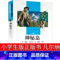 [正版]神秘岛 书免邮初中生小学生凡尔纳合订本六年级名家名译世界名著书籍初中生青少年课外阅读书籍 语文书目