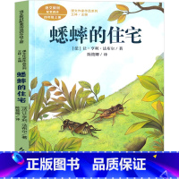 蟋蟀的住宅 四年级人教版 [正版]人民教育出版社 蟋蟀的住宅 小学生 四年级法布尔三年级五年级必读课外书中国少年读物原版