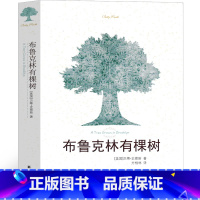 [正版]布鲁克林有棵树 译林出版社 贝蒂·史密斯 著 方柏林译 初中生高中生课外书阅读书籍世界名著文学小说现代的文学